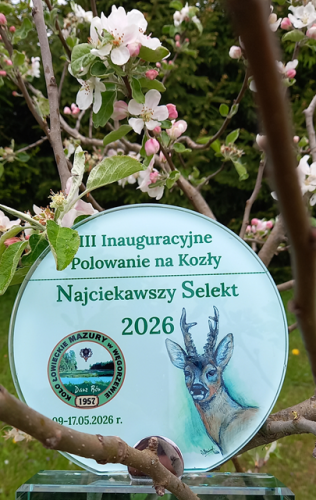 III.Rogacze.2026.2.png