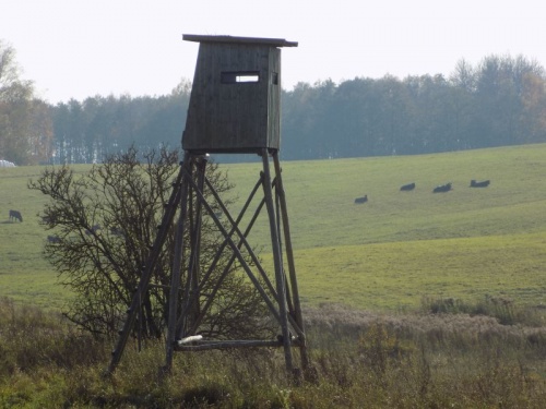 kut26--14.jpg